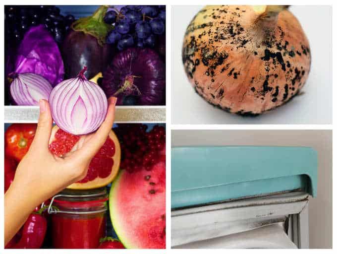 Reality take a look at: Is your fridge a breeding flooring for black fungus?