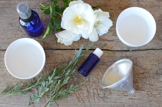 Best Non-Toxic Safer Sunscreen Critiques