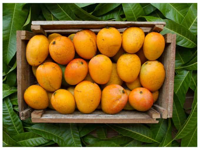 This unusual variety of mango can worth you as a lot as INR 1000 per piece