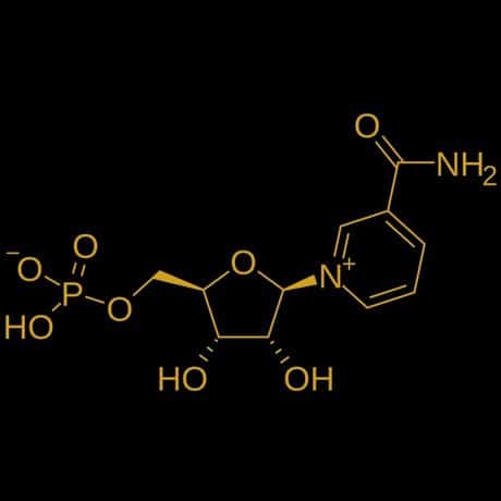 13 NMN Benefits That Can Help Healthy Aging