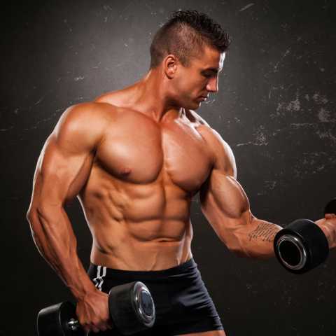 Build Massive Arms With These At Home Bicep Workouts