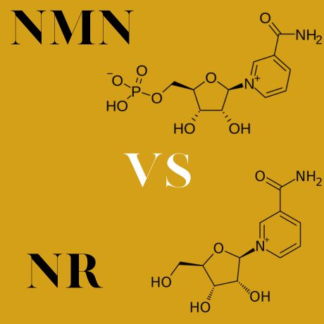 NMN Vs NR: Which Is The Better Anti-Aging Molecule?