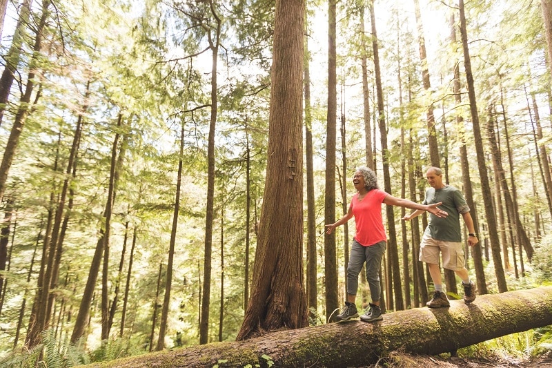 7 Summer season Self-Care Concepts | The Leaf
