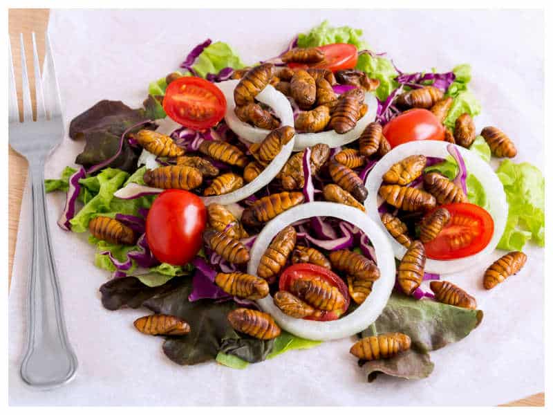 This Paris eatery has a bizarre insect primarily based menu, are you up for it?