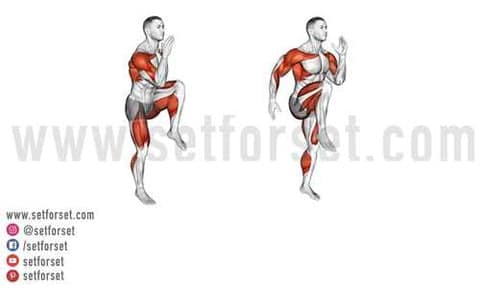 How To Perform The High Knees Exercise Correctly Flourishlight How To Perform The High Knees Exercise Correctly Flourishlight